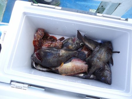 十八宝洋丸 釣果