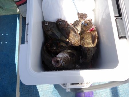 十八宝洋丸 釣果