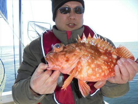 ＨＡＲＵＫＡ丸　はるかまる 釣果