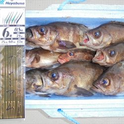 HARUKA丸 はるかまる 釣果