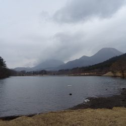 志高湖フィッシング 釣果