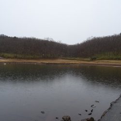 志高湖フィッシング 釣果