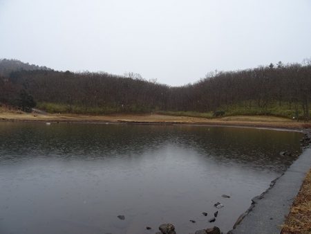 志高湖フィッシング 釣果