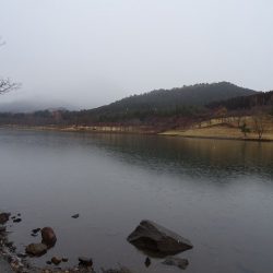 志高湖フィッシング 釣果