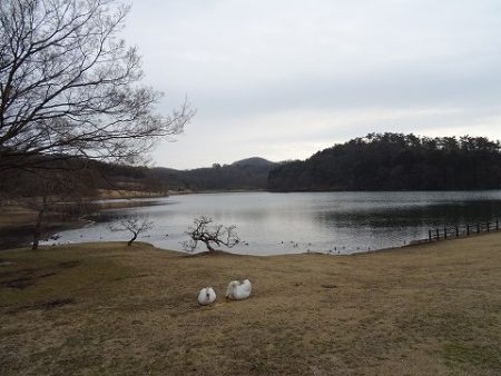 志高湖フィッシング 釣果