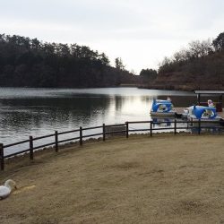 志高湖フィッシング 釣果