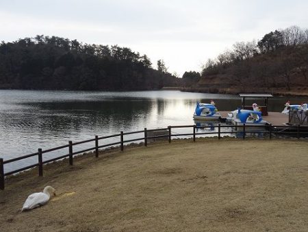 志高湖フィッシング 釣果