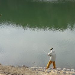 志高湖フィッシング 釣果