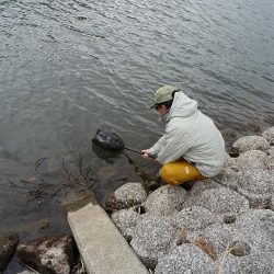 志高湖フィッシング 釣果
