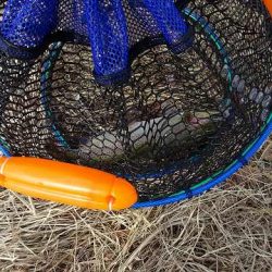 志高湖フィッシング 釣果