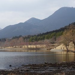 志高湖フィッシング 釣果