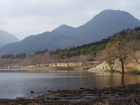 志高湖フィッシング 釣果