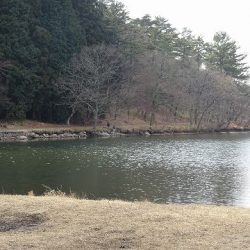 志高湖フィッシング 釣果