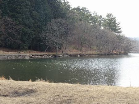 志高湖フィッシング 釣果