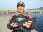 春日丸 釣果