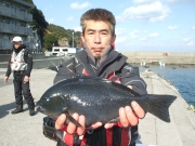 春日丸 釣果