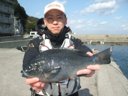 春日丸 釣果