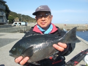 春日丸 釣果