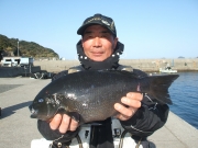 春日丸 釣果