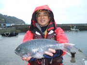 春日丸 釣果