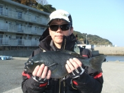 春日丸 釣果