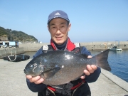 春日丸 釣果