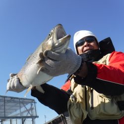 浜名湖フィッシングリゾート 釣果
