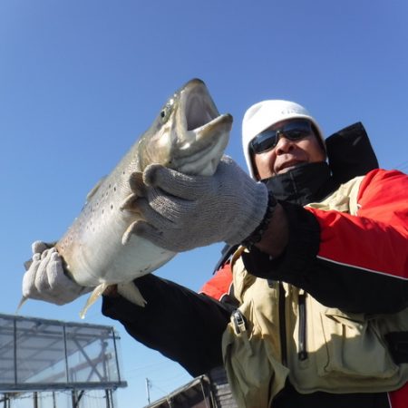 浜名湖フィッシングリゾート 釣果