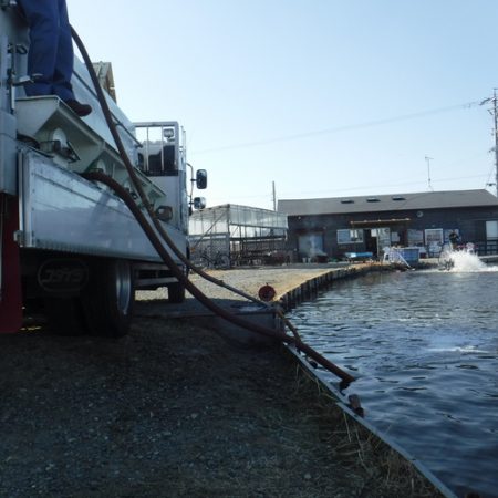 浜名湖フィッシングリゾート 釣果