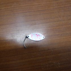 浜名湖フィッシングリゾート 釣果