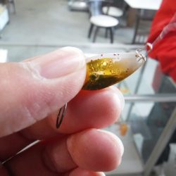 浜名湖フィッシングリゾート 釣果