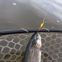 浜名湖フィッシングリゾート 釣果