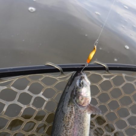 浜名湖フィッシングリゾート 釣果