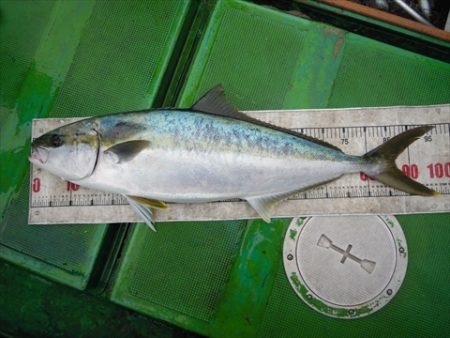 海宝丸　島根 釣果