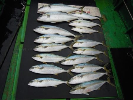 海宝丸　島根 釣果