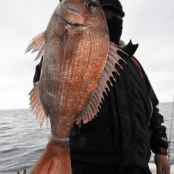 Fisherman Dreams DI 釣果