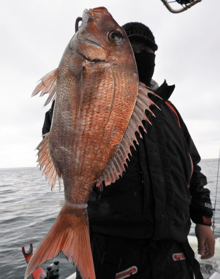 Fisherman Dreams DI 釣果