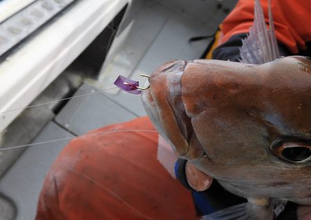 Fisherman Dreams DI 釣果