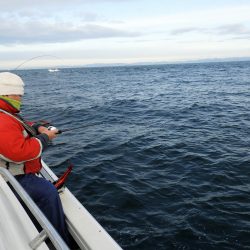 Fisherman Dreams DI 釣果