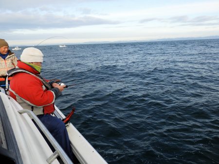 Fisherman Dreams DI 釣果