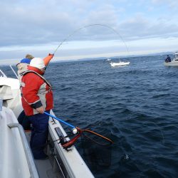 Fisherman Dreams DI 釣果