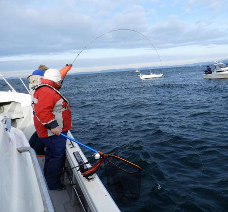 Fisherman Dreams DI 釣果