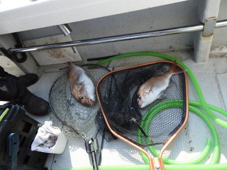 Fisherman Dreams DI 釣果