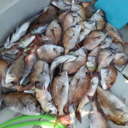 Fisherman Dreams DI 釣果