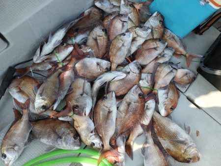 Fisherman Dreams DI 釣果