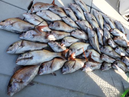 Fisherman Dreams DI 釣果