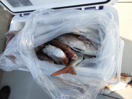 Fisherman Dreams DI 釣果