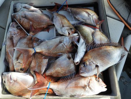 Fisherman Dreams DI 釣…