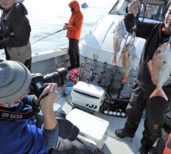 Fisherman Dreams DI 釣果