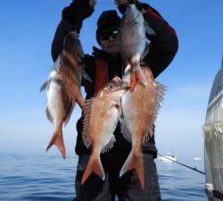 Fisherman Dreams DI 釣果